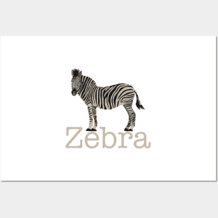 Zebra Posters and Art